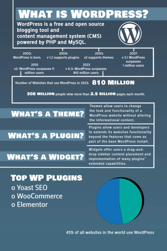 WordPress Infographic Version 1